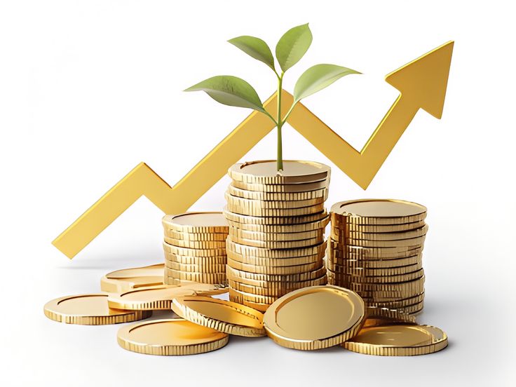 Foreign Currency Accounts